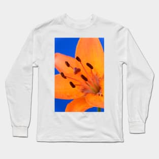 Lilium  &#39;Orange Pixie&#39;  Dwarf Asiatic lily Long Sleeve T-Shirt